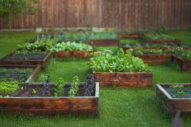 Garden with Raised Beds